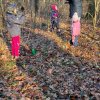 02 Aktion Februar 25 Tiere im Winterwald